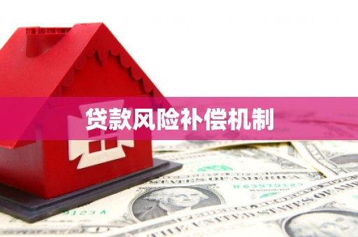 三元贷款风险补偿机制
