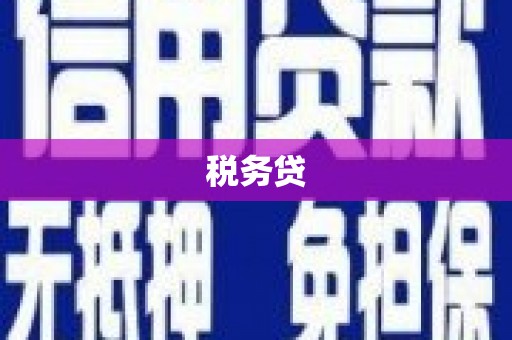 三元税务贷