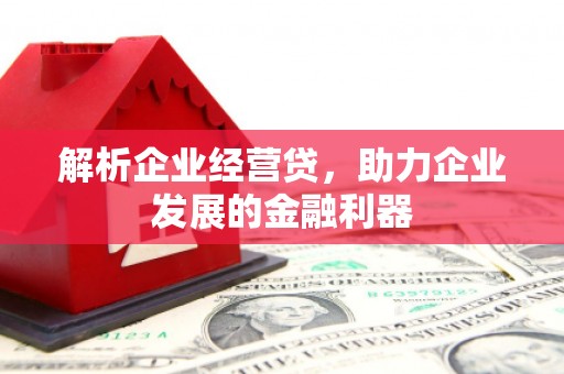 三元解析企业经营贷，助力企业发展的金融利器