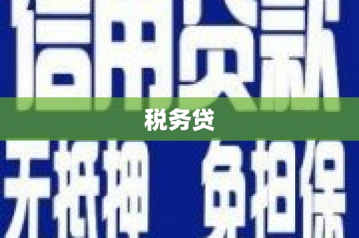 三元税务贷