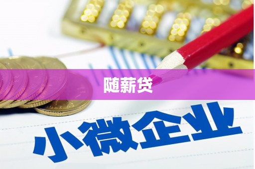 三元随薪贷
