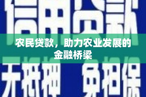 三元农民贷款，助力农业发展的金融桥梁
