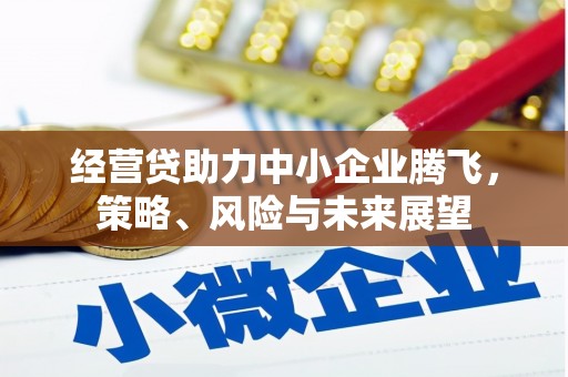 三元经营贷助力中小企业腾飞，策略、风险与未来展望