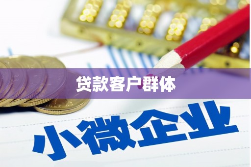 三元贷款客户群体
