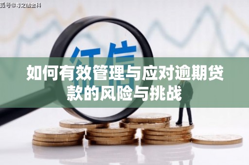 三元如何有效管理与应对逾期贷款的风险与挑战