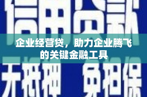 三元企业经营贷，助力企业腾飞的关键金融工具