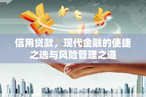 三元信用贷款，现代金融的便捷之选与风险管理之道