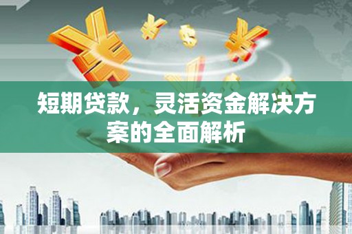 三元短期贷款，灵活资金解决方案的全面解析