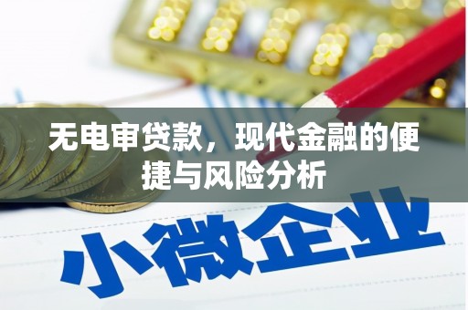 三元无电审贷款，现代金融的便捷与风险分析