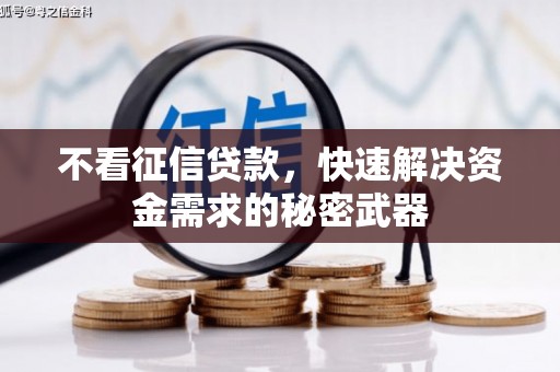 三元不看征信贷款，快速解决资金需求的秘密武器