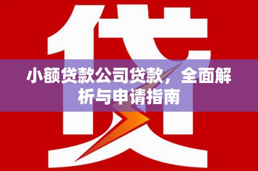 三元小额贷款公司贷款，全面解析与申请指南