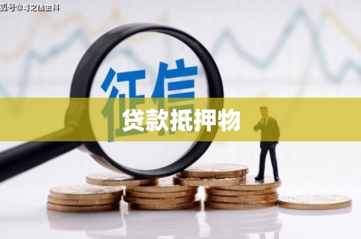 三元贷款抵押物