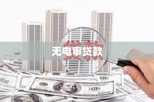 三元无电审贷款