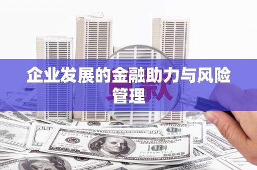 三元企业发展的金融助力与风险管理