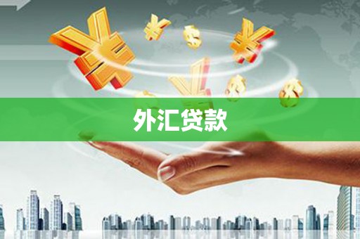 三元外汇贷款