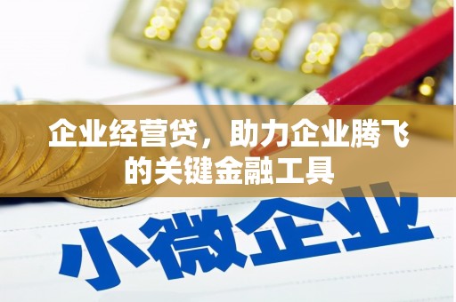 三元企业经营贷，助力企业腾飞的关键金融工具