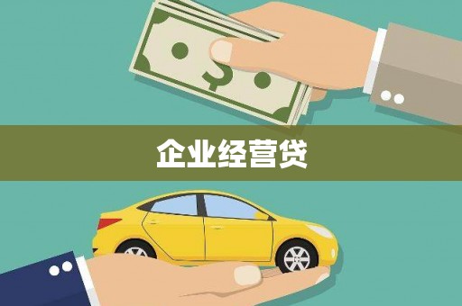 三元企业经营贷