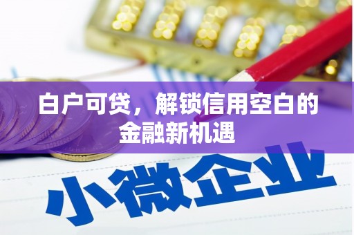 三元白户可贷，解锁信用空白的金融新机遇