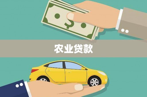 三元农业贷款