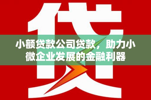 三元小额贷款公司贷款，助力小微企业发展的金融利器