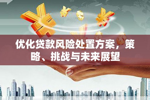 三元优化贷款风险处置方案，策略、挑战与未来展望