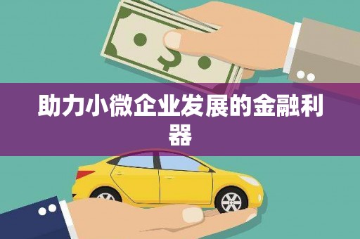 三元助力小微企业发展的金融利器