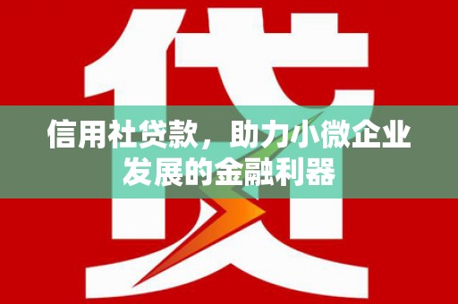 三元信用社贷款，助力小微企业发展的金融利器