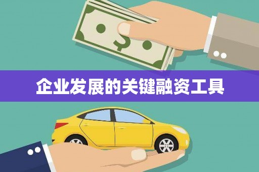三元企业发展的关键融资工具
