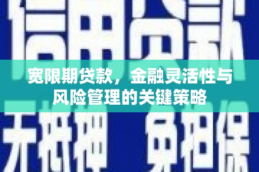三元宽限期贷款，金融灵活性与风险管理的关键策略
