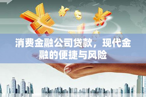 三元消费金融公司贷款，现代金融的便捷与风险