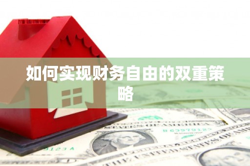三元如何实现财务自由的双重策略