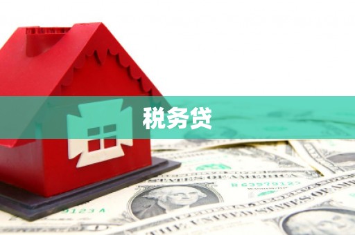 三元税务贷