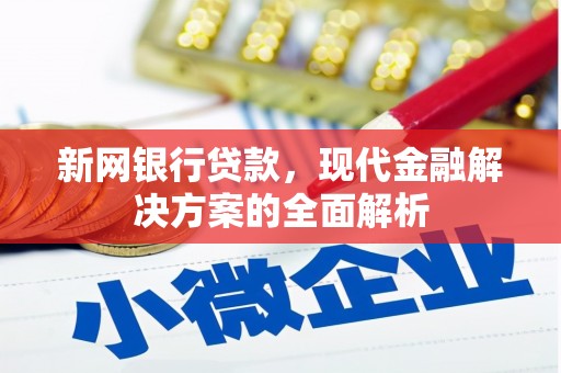 三元新网银行贷款，现代金融解决方案的全面解析