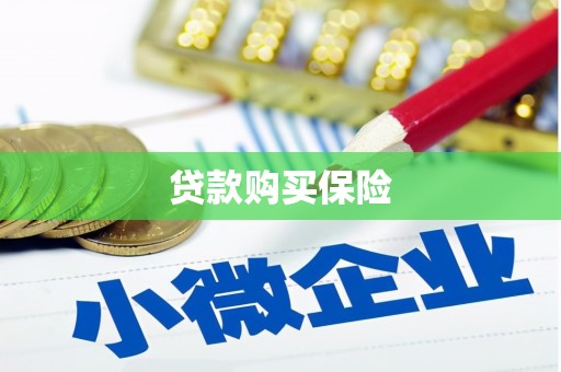 三元贷款购买保险