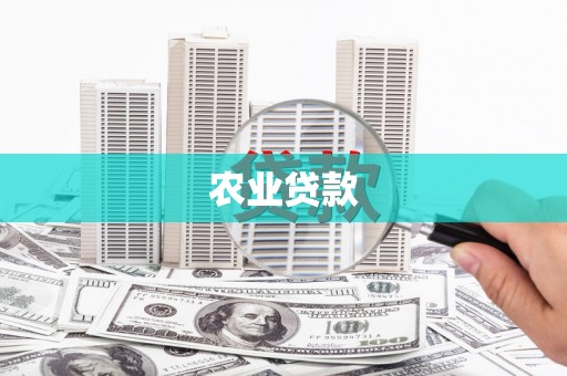 三元农业贷款