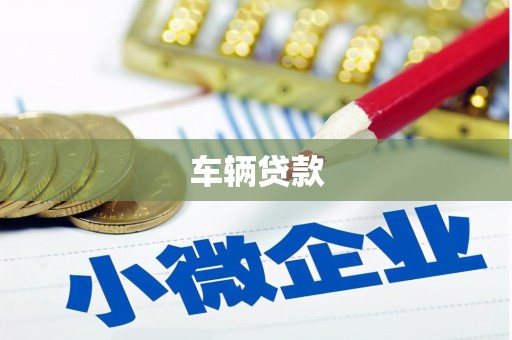 三元车辆贷款