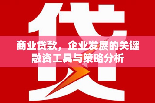 三元商业贷款，企业发展的关键融资工具与策略分析