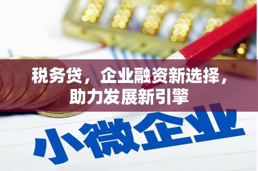 三元税务贷，企业融资新选择，助力发展新引擎