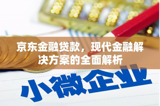三元京东金融贷款，现代金融解决方案的全面解析