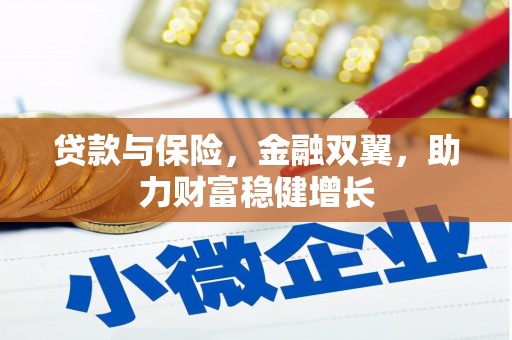 三元贷款与保险，金融双翼，助力财富稳健增长