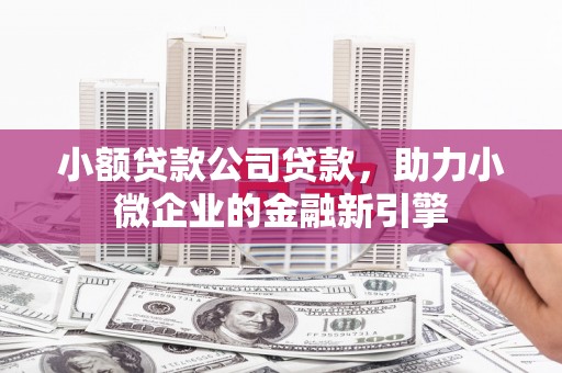 三元小额贷款公司贷款，助力小微企业的金融新引擎