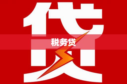 三元税务贷