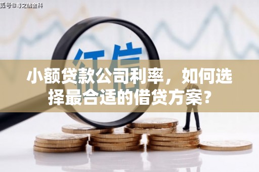 三元小额贷款公司利率，如何选择最合适的借贷方案？