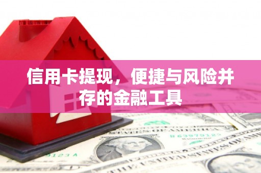 三元信用卡提现，便捷与风险并存的金融工具
