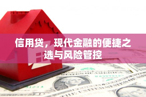 三元信用贷，现代金融的便捷之选与风险管控