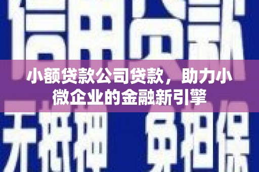 三元小额贷款公司贷款，助力小微企业的金融新引擎