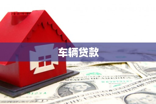 三元车辆贷款