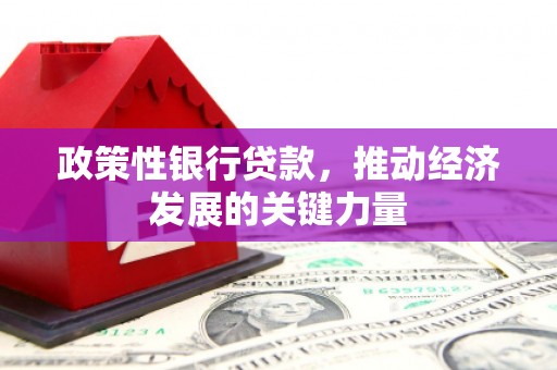 三元政策性银行贷款，推动经济发展的关键力量
