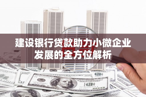 三元建设银行贷款助力小微企业发展的全方位解析