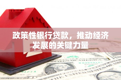 三元政策性银行贷款，推动经济发展的关键力量